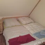 Greifenbachmuehle Apartmán Ehrenfriedersdorf