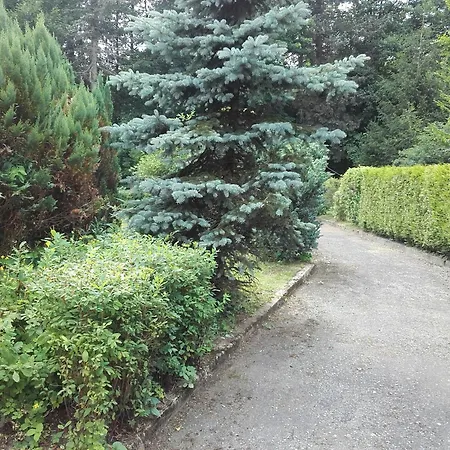 Greifenbachmuehle * Ehrenfriedersdorf