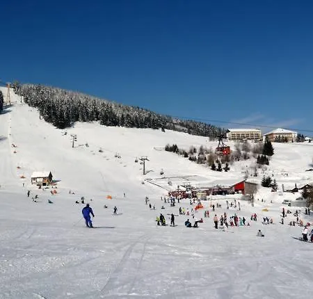 Greifenbachmuehle Ehrenfriedersdorf