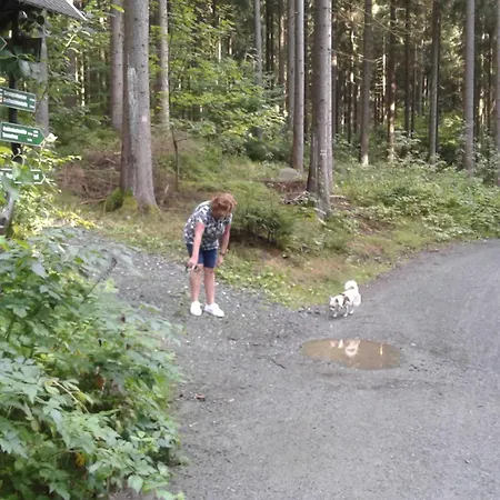 شقة Greifenbachmuehle