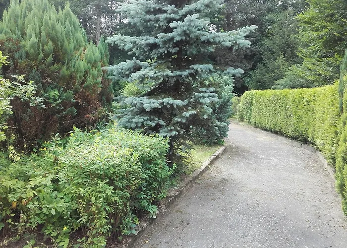 Greifenbachmuehle * Ehrenfriedersdorf