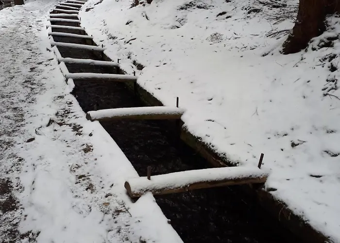 Апартаменты Greifenbachmuehle