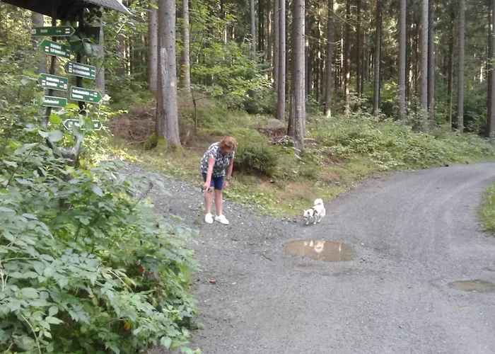 شقة Greifenbachmuehle